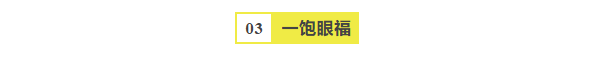 一饱眼福